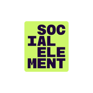 the social element logo