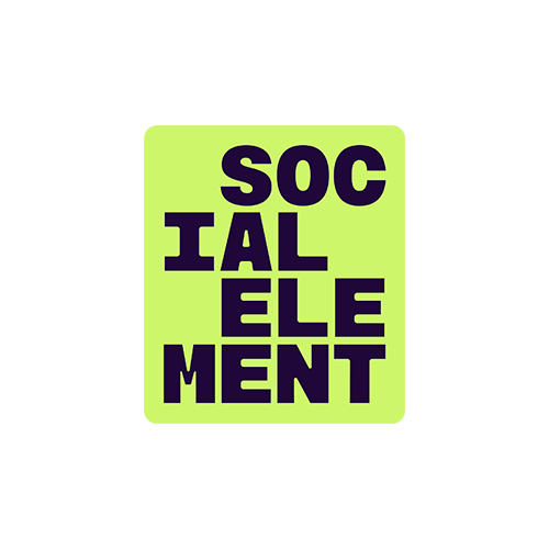 the social element logo